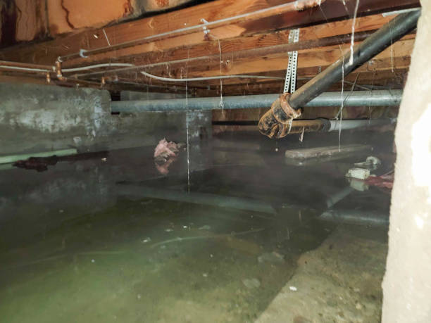 Best Sewage cleanup and water damage restoration  in Waco, TX