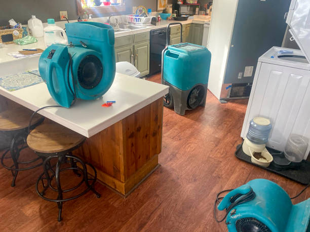 Best 24-hour water damage restoration  in Waco, TX