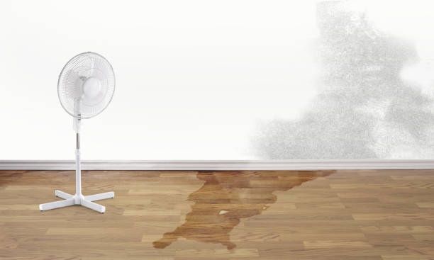 Best Flooded house restoration  in Waco, TX