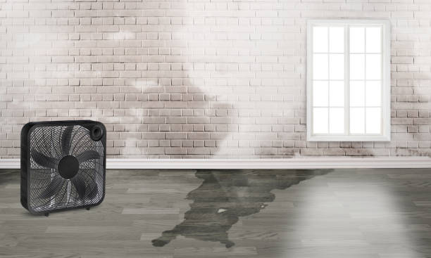 Best Ceiling water damage repair  in Waco, TX
