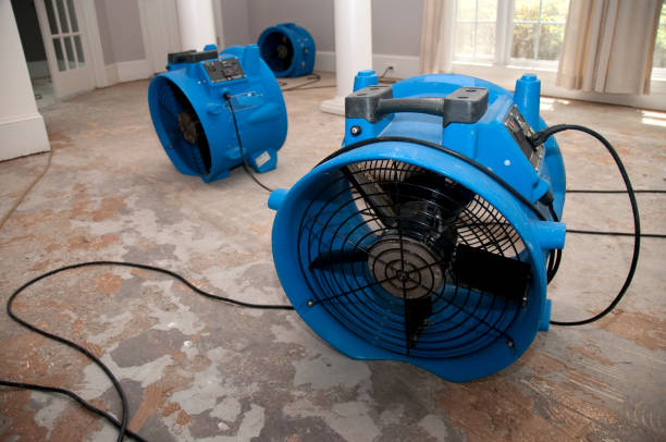 Best Water damage restoration near me  in Waco, TX