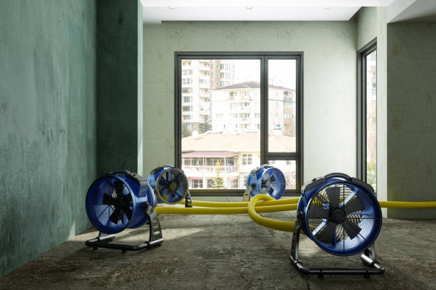 Best Water damage restoration experts  in Waco, TX